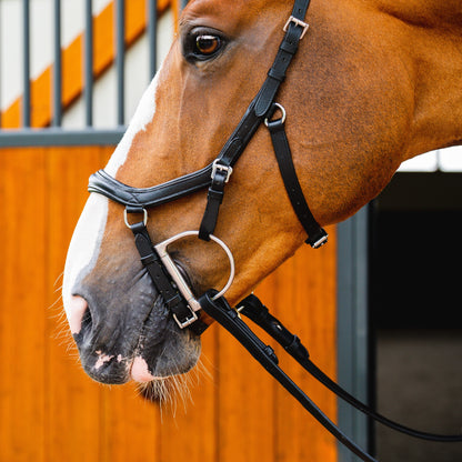 Horseware Micklem 2 Competition Bridle