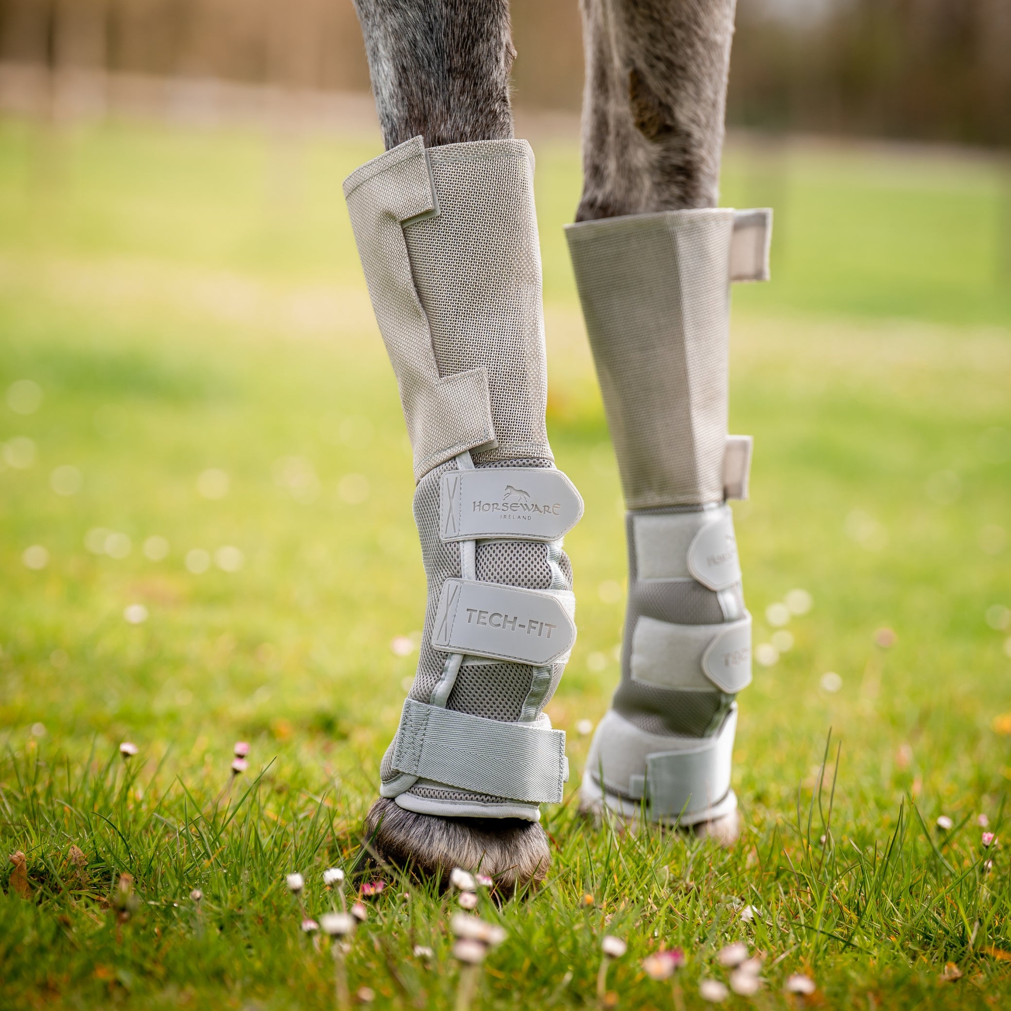 Horseware rambo travel boots on sale