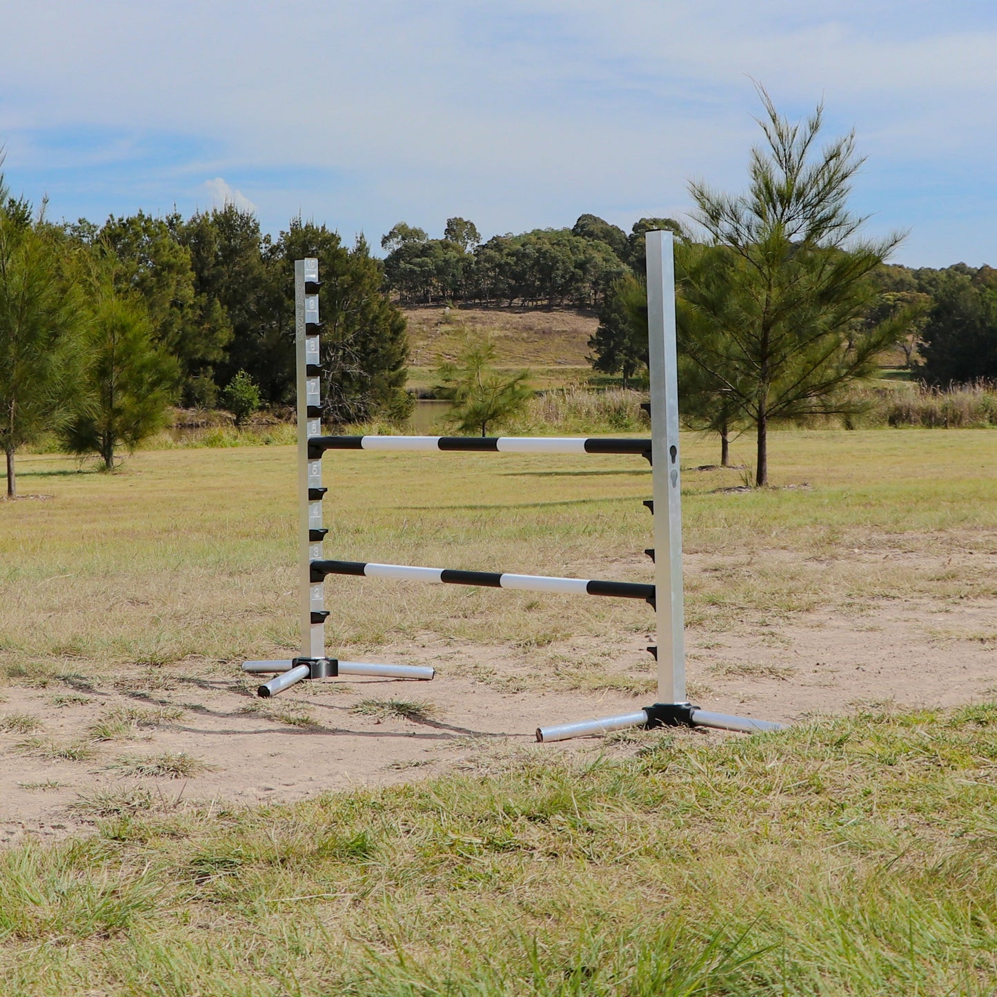 Sticky Jumps Without Wings - EQ Saddlery