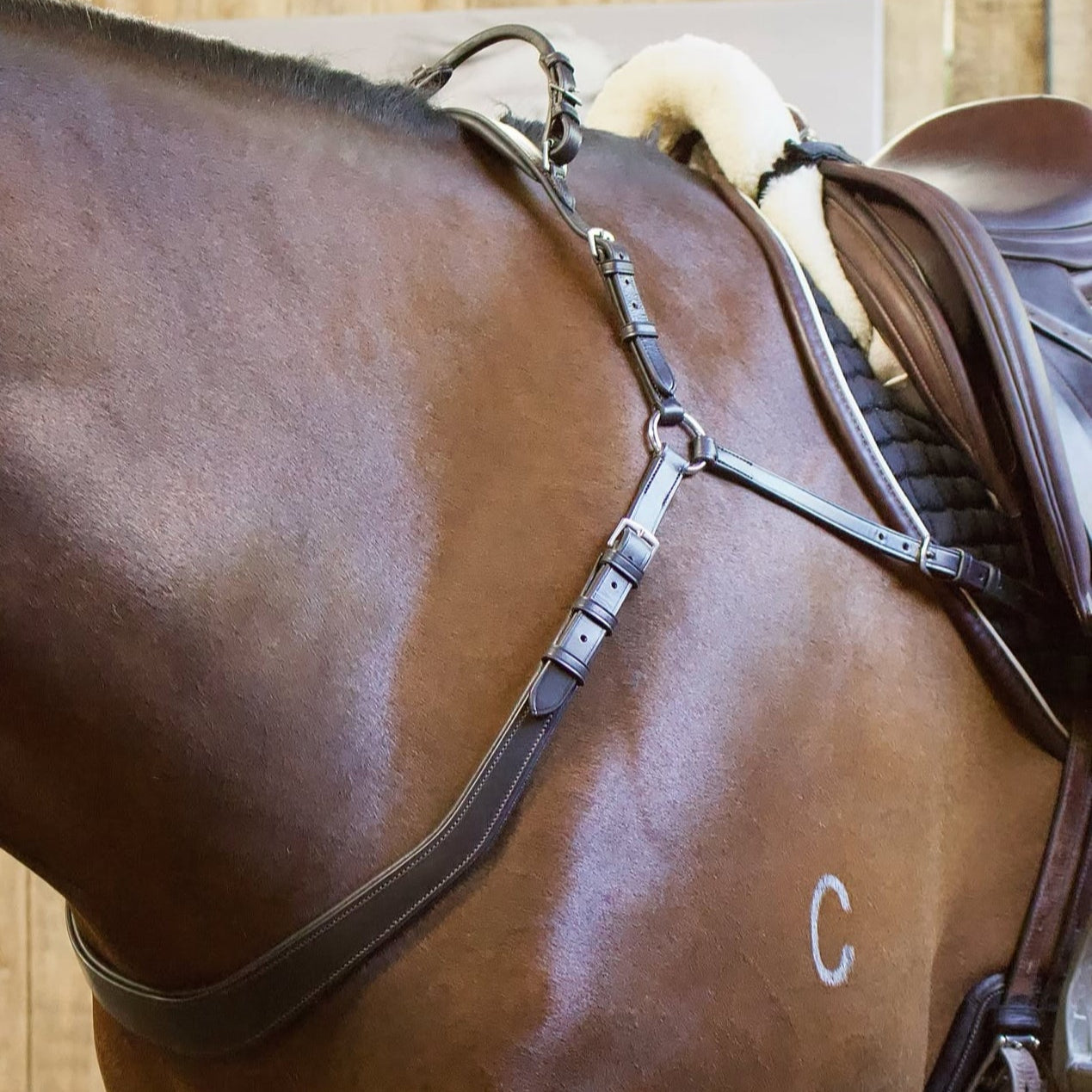 Saddle Co Balance Breastplate - EQ Saddlery