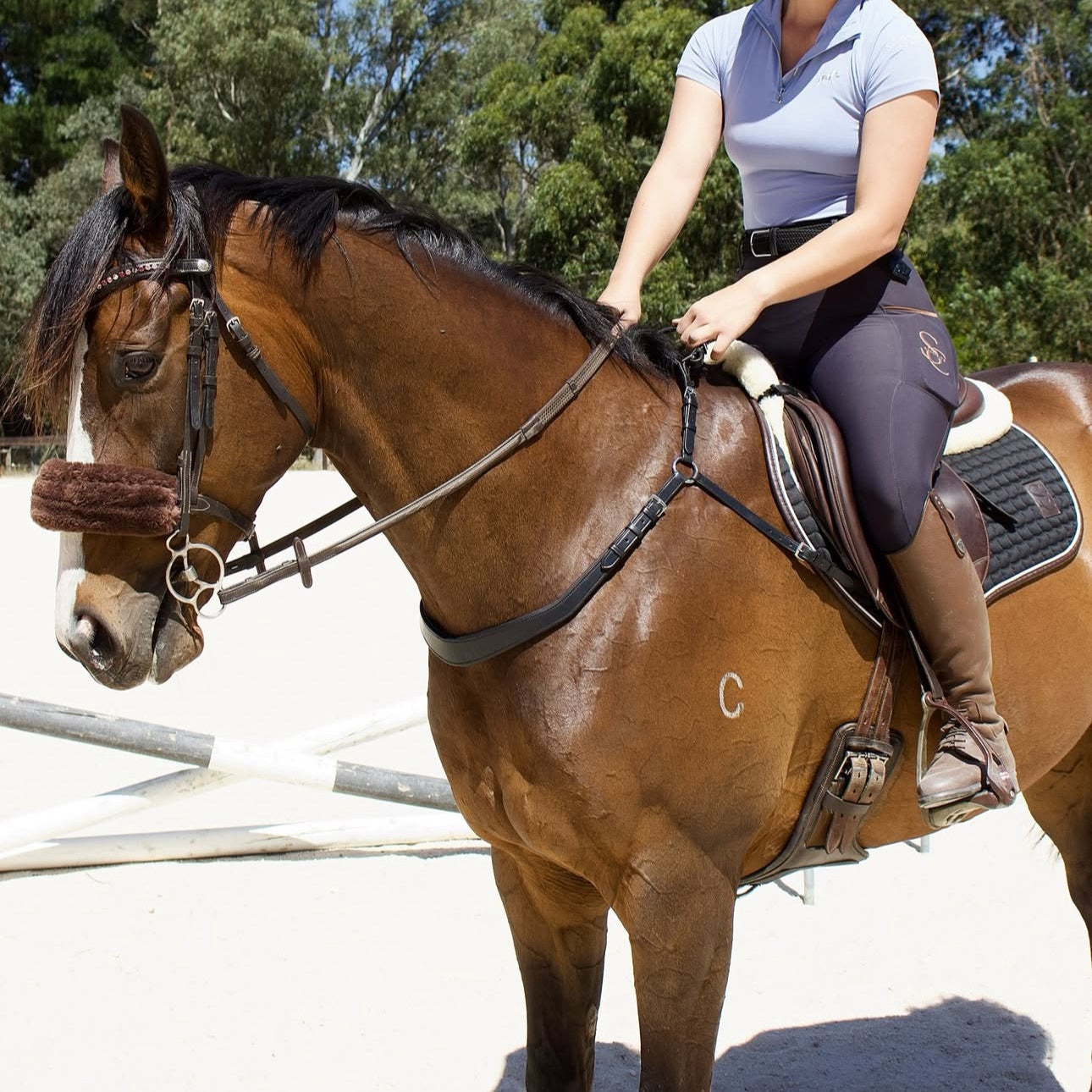 Saddle Co Balance Breastplate - EQ Saddlery