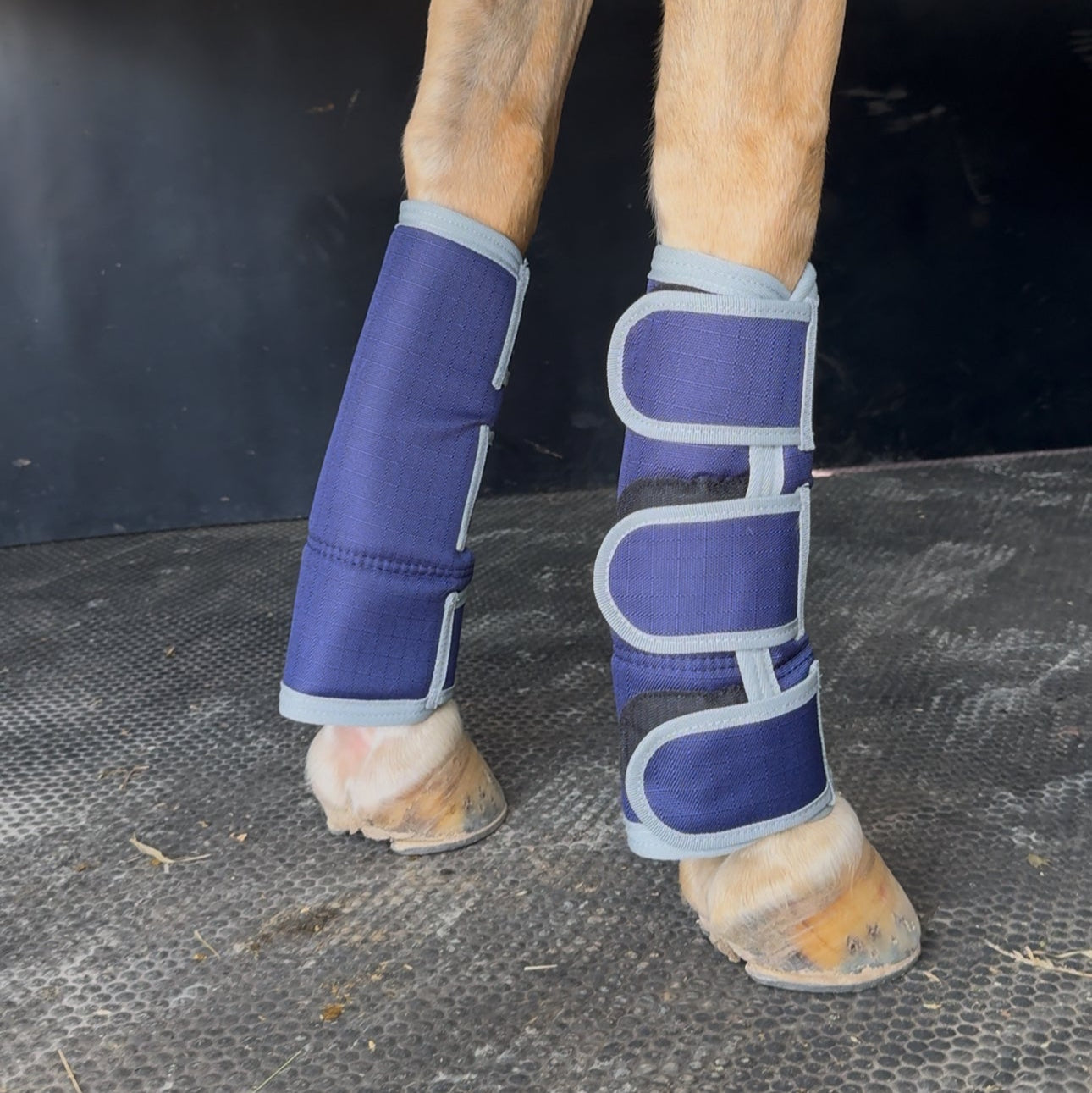 EQ Armour Float Boot Navy - EQ Saddlery
