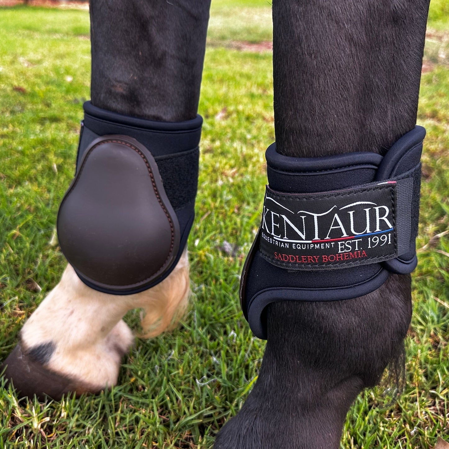 Kentaur Pro Carbon Fetlock Boots