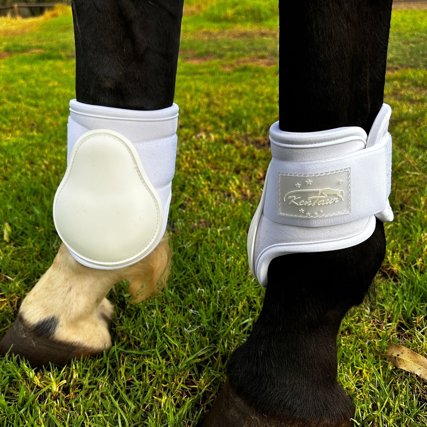 Kentaur Pro Carbon Fetlock Boots