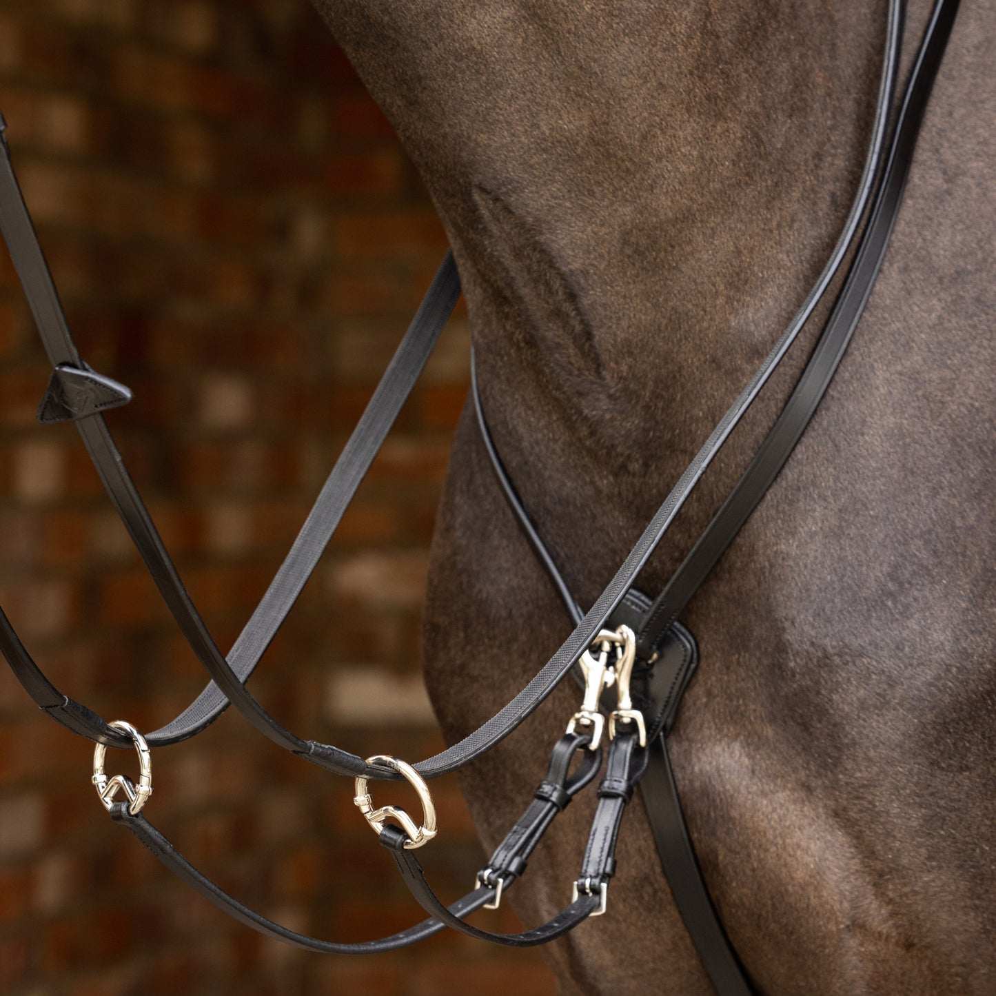 Kudos Running Martingale