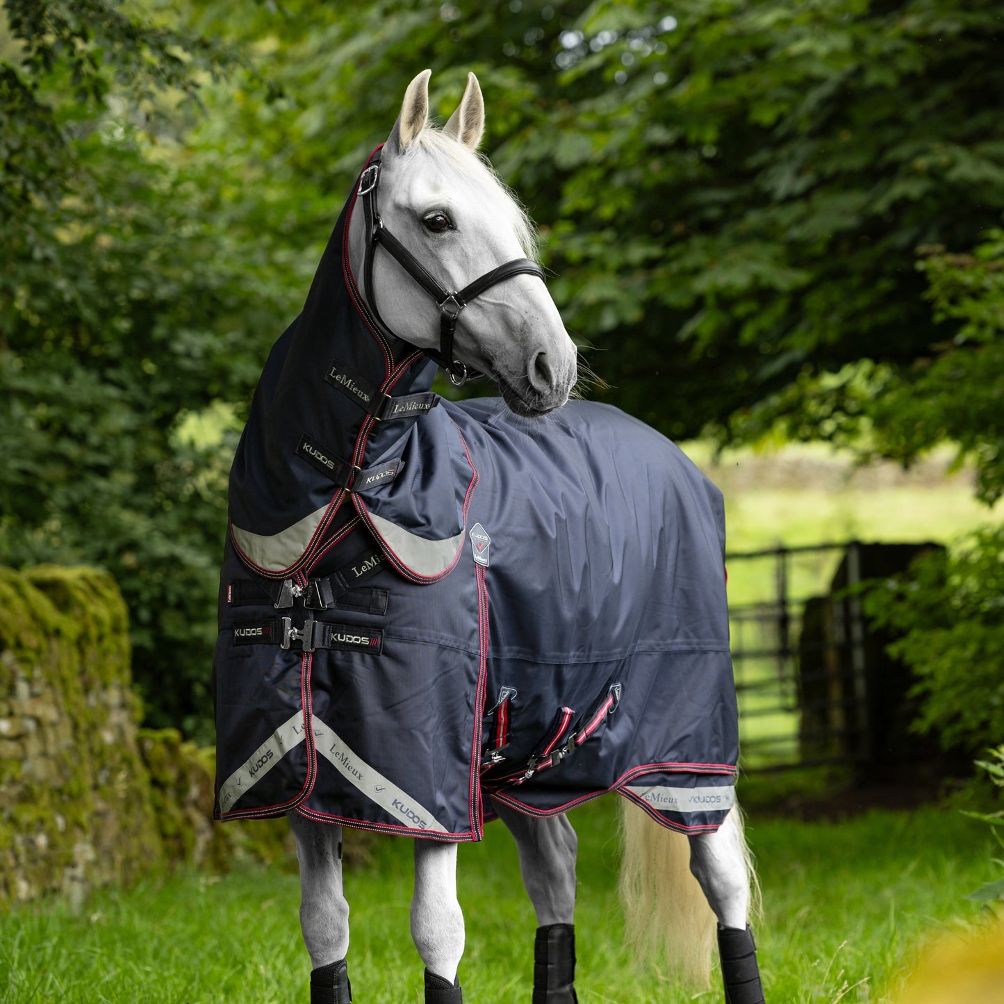 LeMieux Kudos Turnout 200g Rug