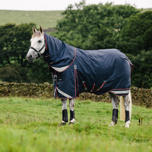 LeMieux Kudos Turnout 200g Rug - EQ Saddlery
