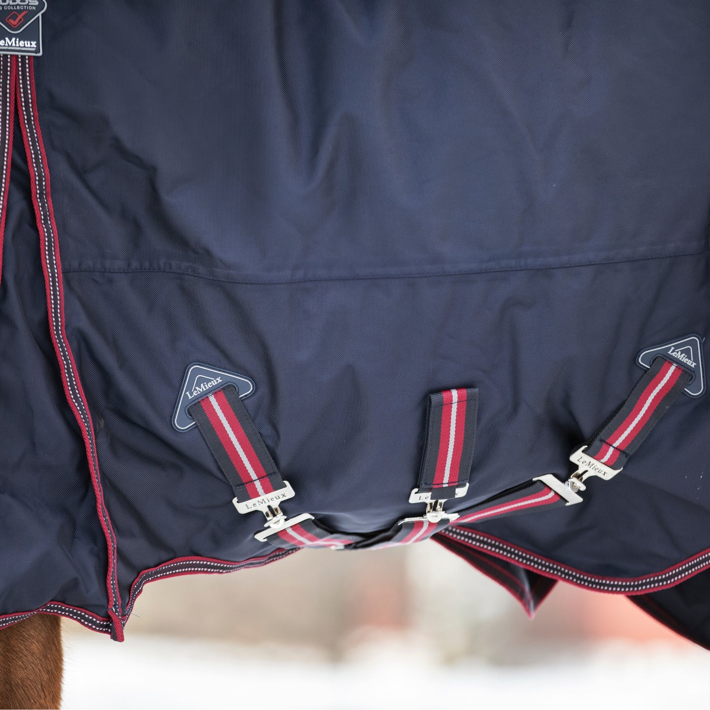 LeMieux Kudos Turnout 200g Rug