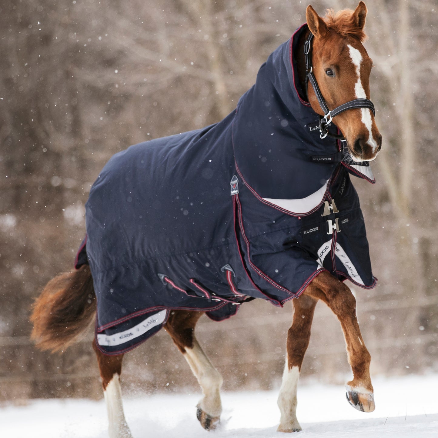 LeMieux Kudos Turnout 200g Rug