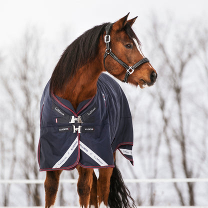 LeMieux Kudos Turnout 200g Rug