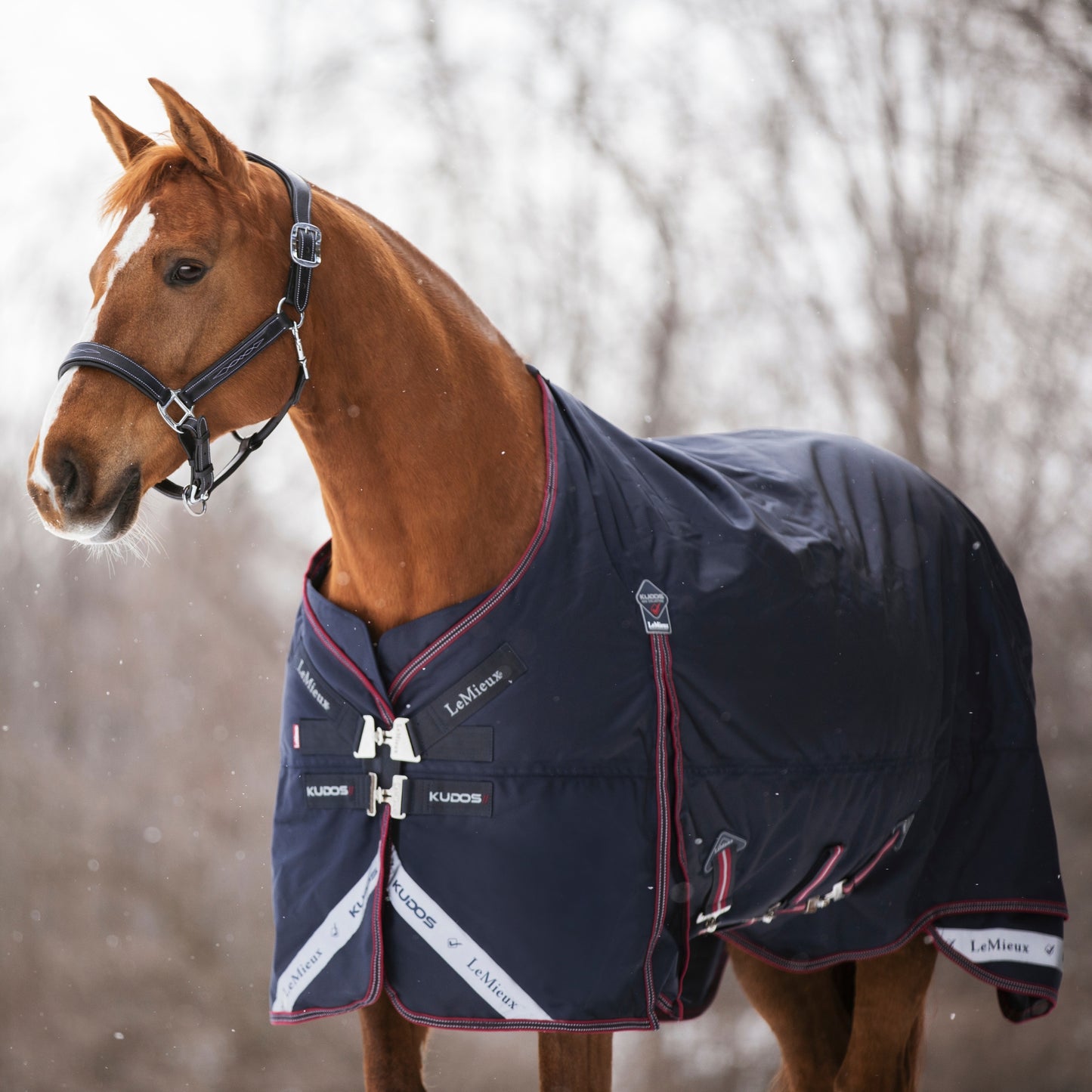 LeMieux Kudos Turnout 200g Rug