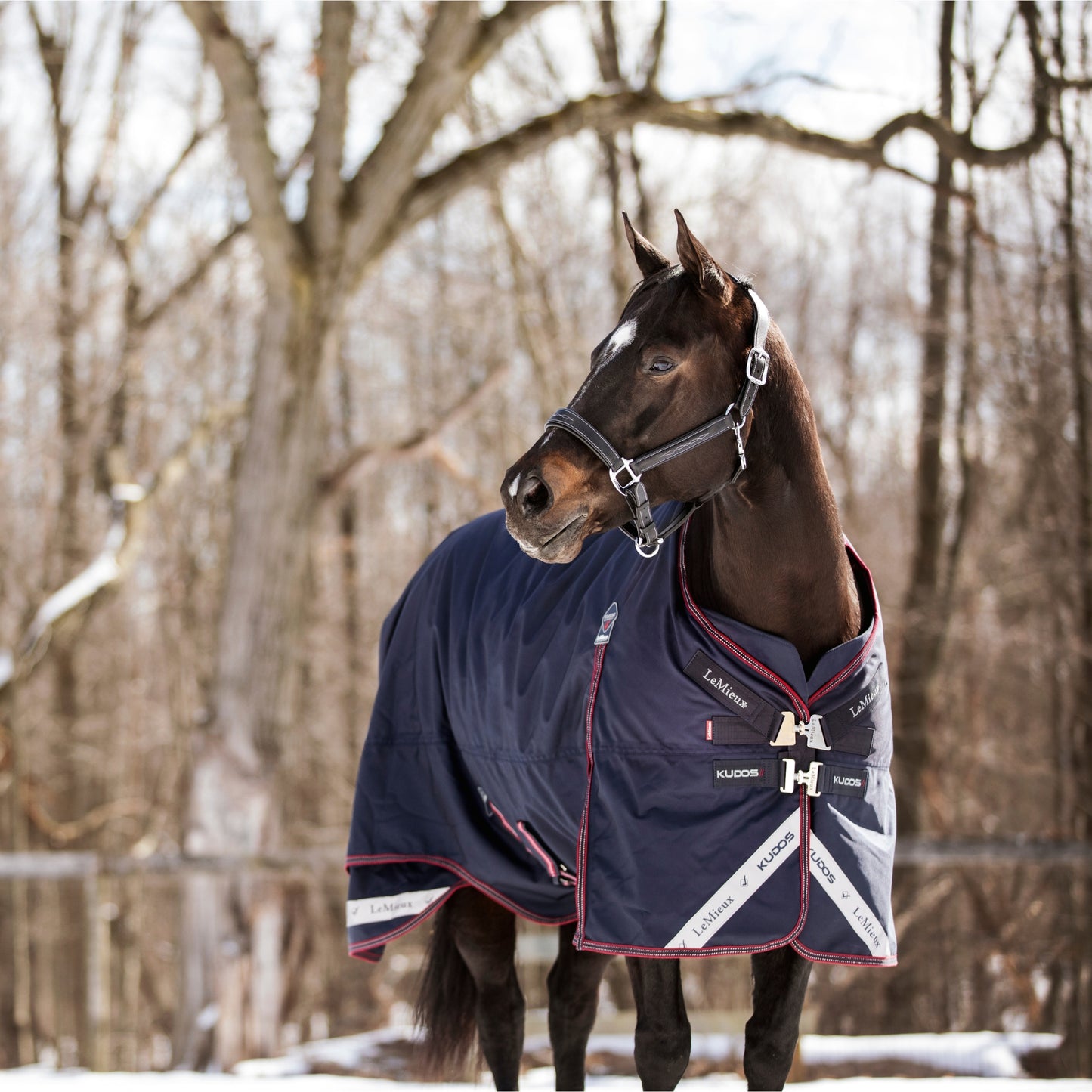 LeMieux Kudos Turnout 200g Rug