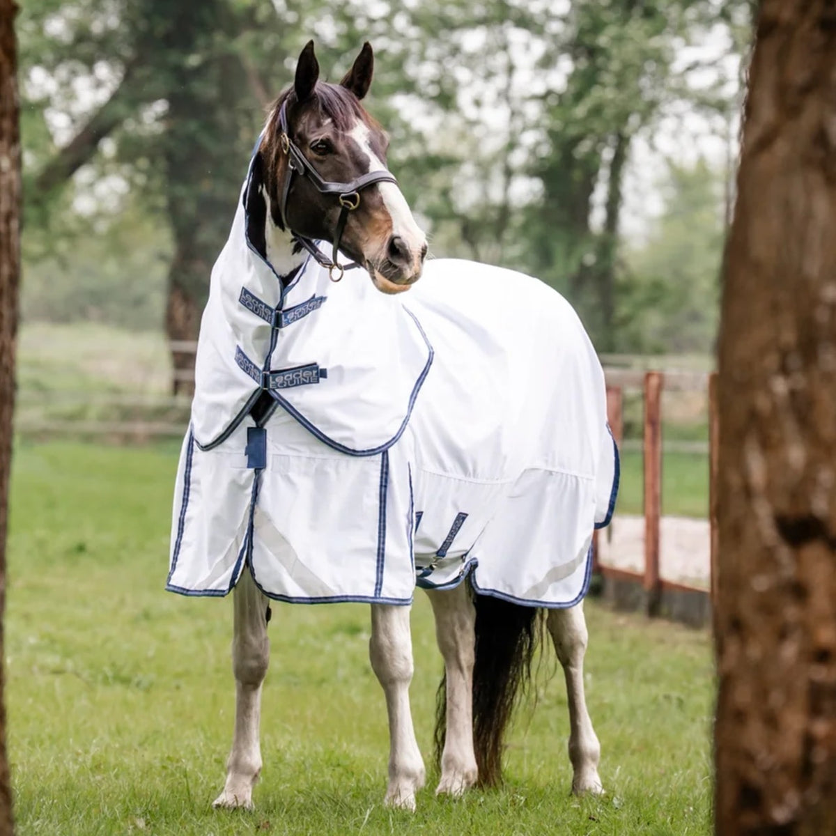 LE Fieldsafe Summer Sheet Rug