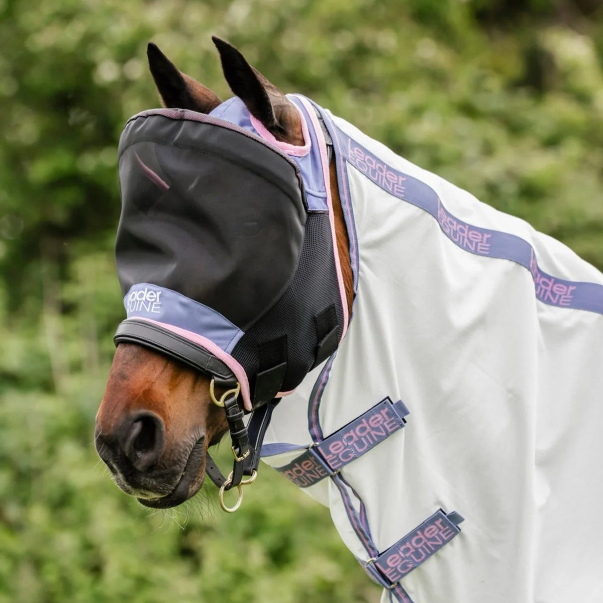 LE Outback Flymask Original