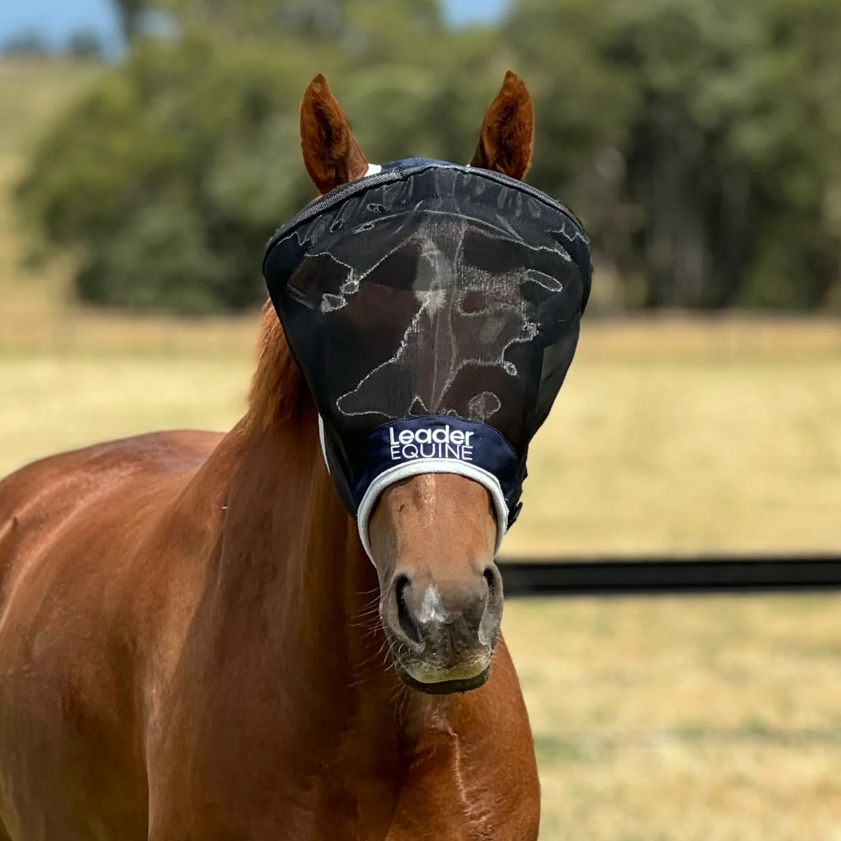 LE Outback Flymask Original