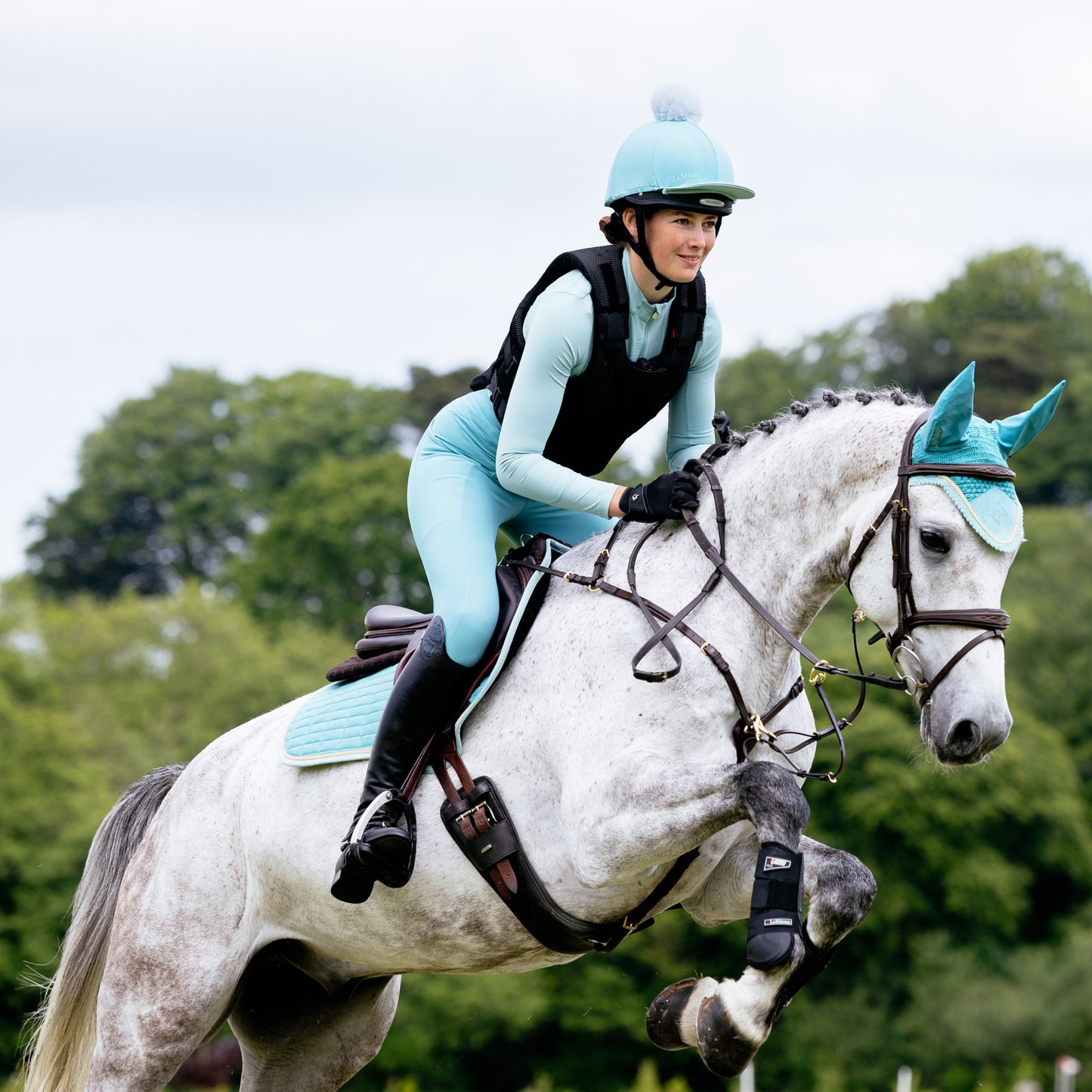LeMieux Classic Fly Hood