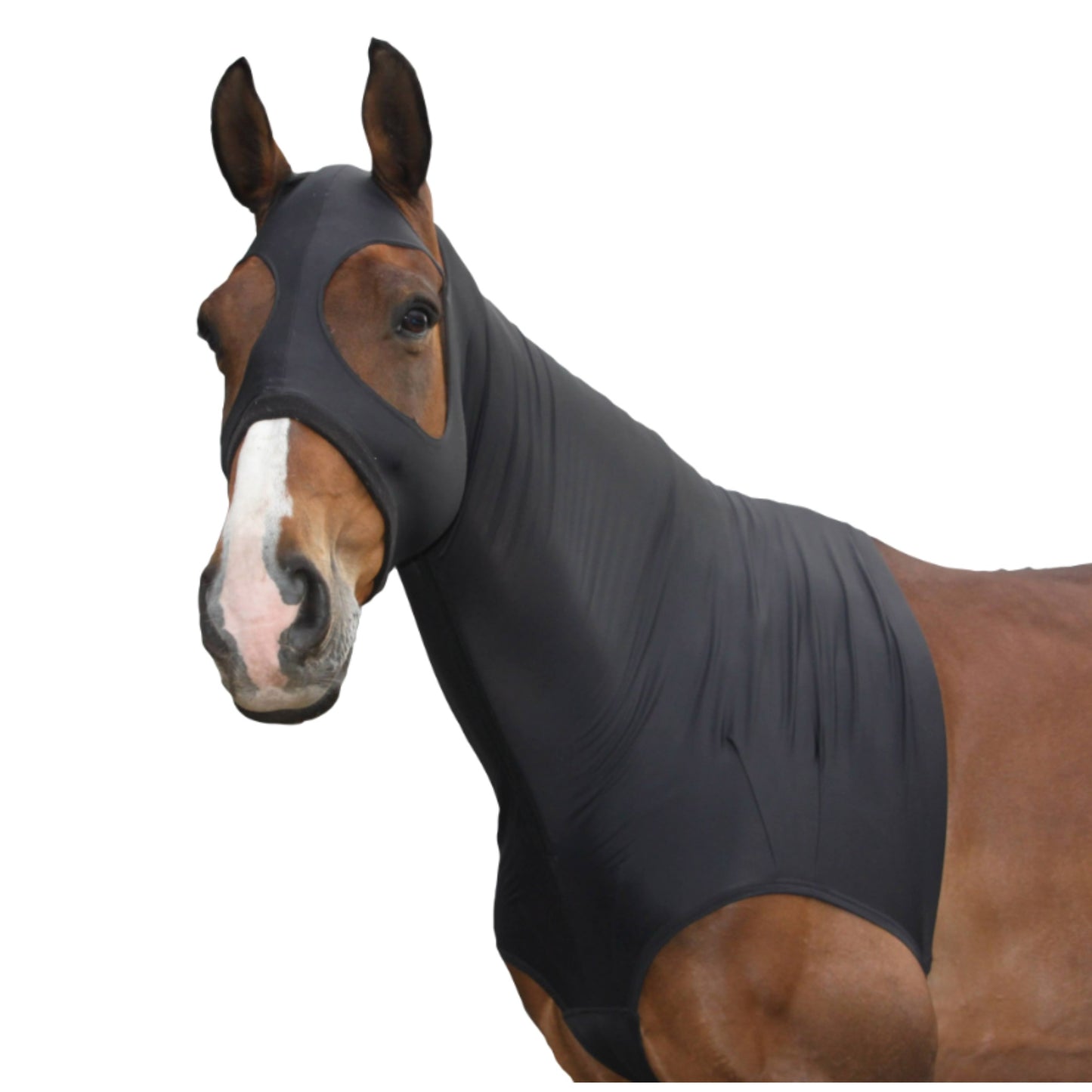 Lami-Cell Lycra Hood w Chest Protection - EQ Saddlery
