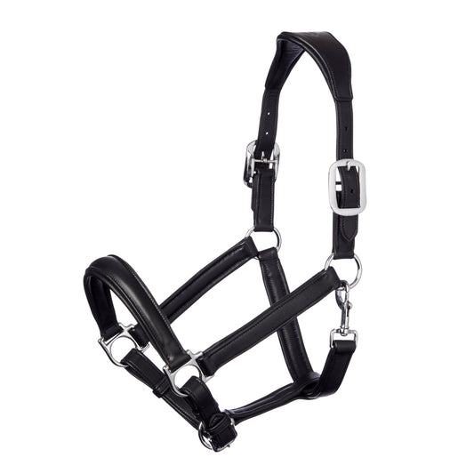 LeMieux Anatomic Headcollar