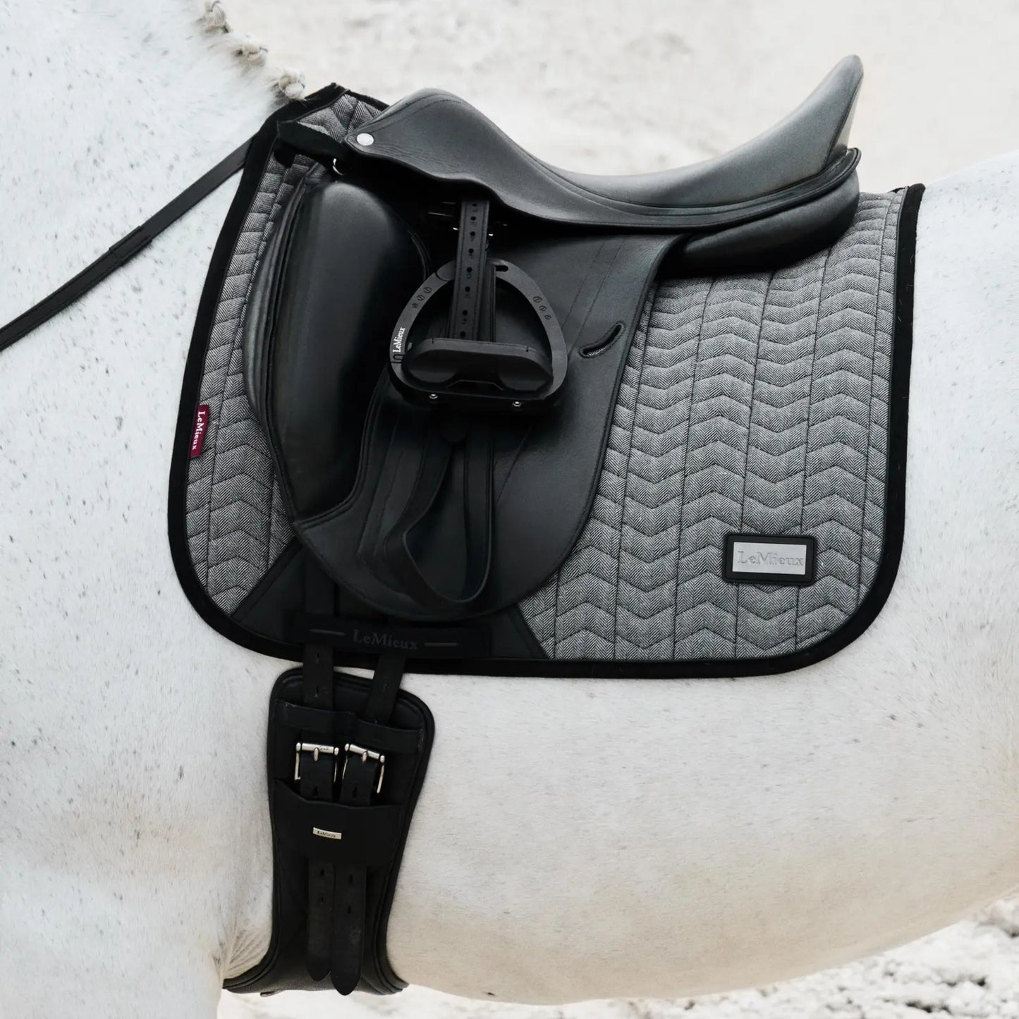 LeMieux Aspen Collection Dressage Square Saddle Pad
