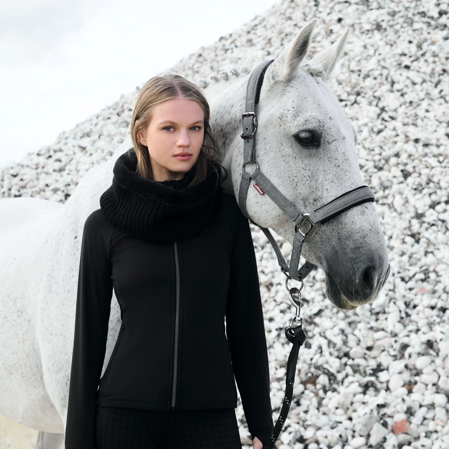 LeMieux Aspen Collection Headcollar