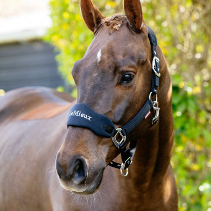 LeMieux Breakaway Vogue Headcollar