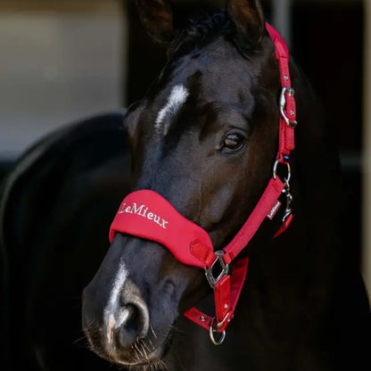 LeMieux Breakaway Vogue Headcollar