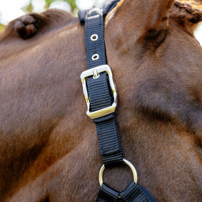 LeMieux Breakaway Vogue Headcollar