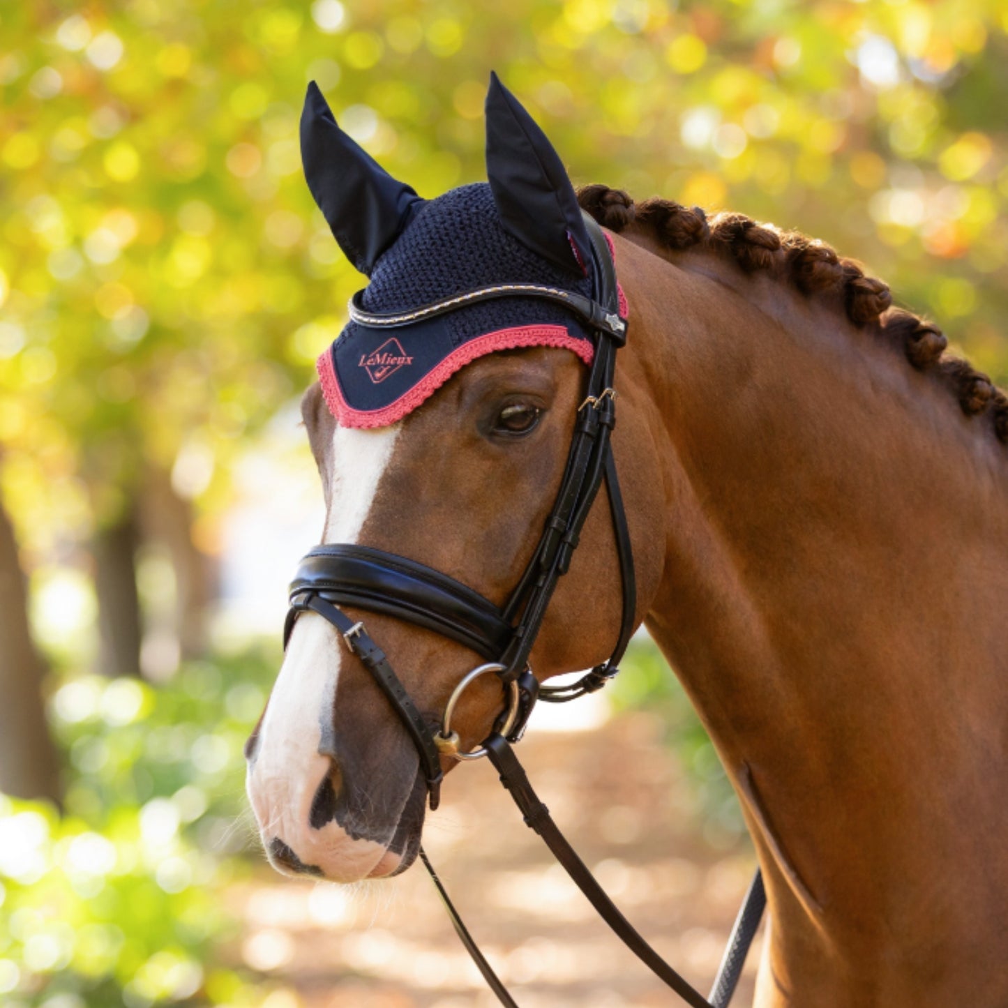 LeMieux Classic Fly Hood