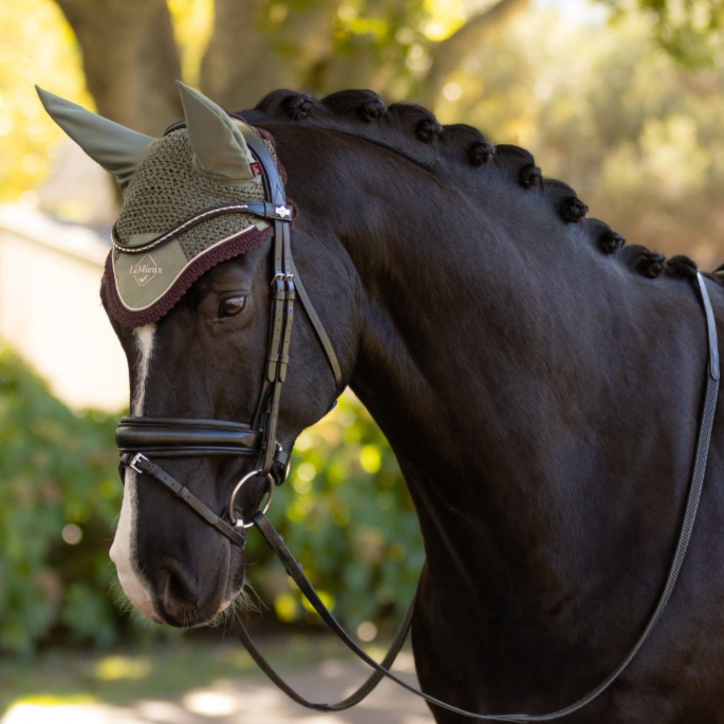 LeMieux Classic Fly Hood