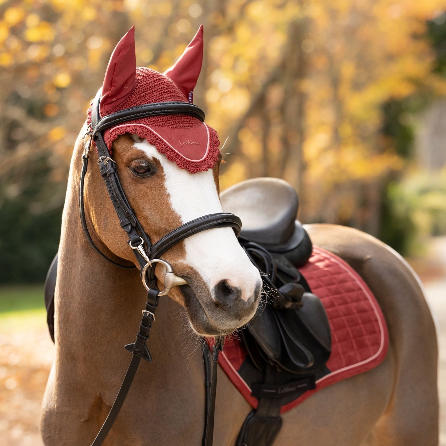 LeMieux Classic Fly Hood