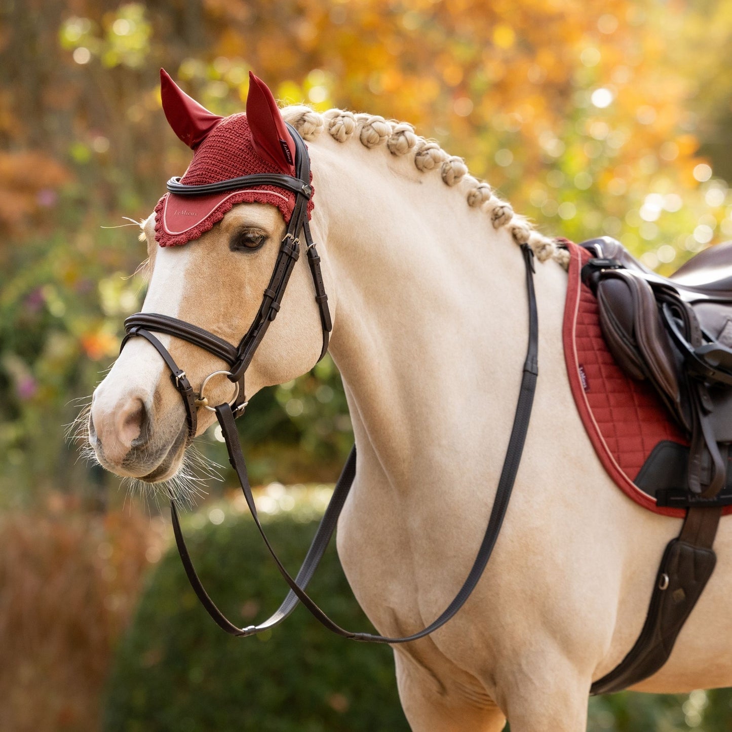 LeMieux Classic Fly Hood