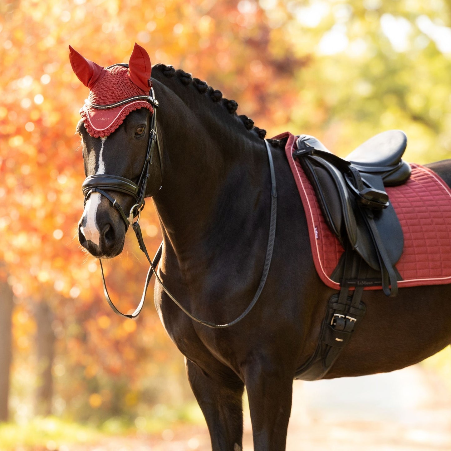 LeMieux Classic Fly Hood