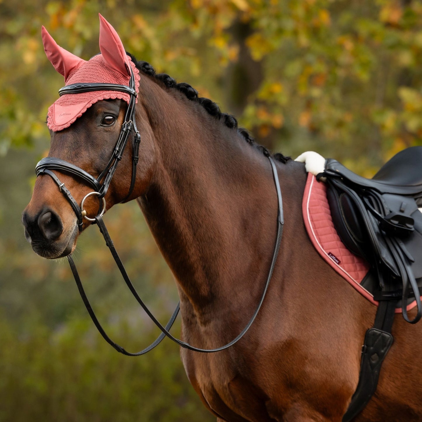 LeMieux Classic Fly Hood