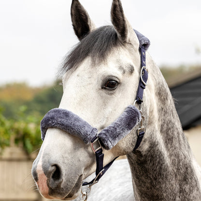 LeMieux Comfort Headcollar