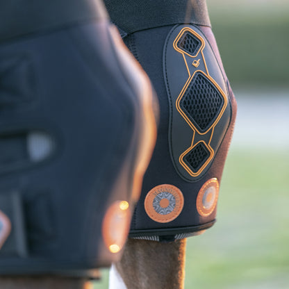 LeMieux Conductive Magno Hock Boots