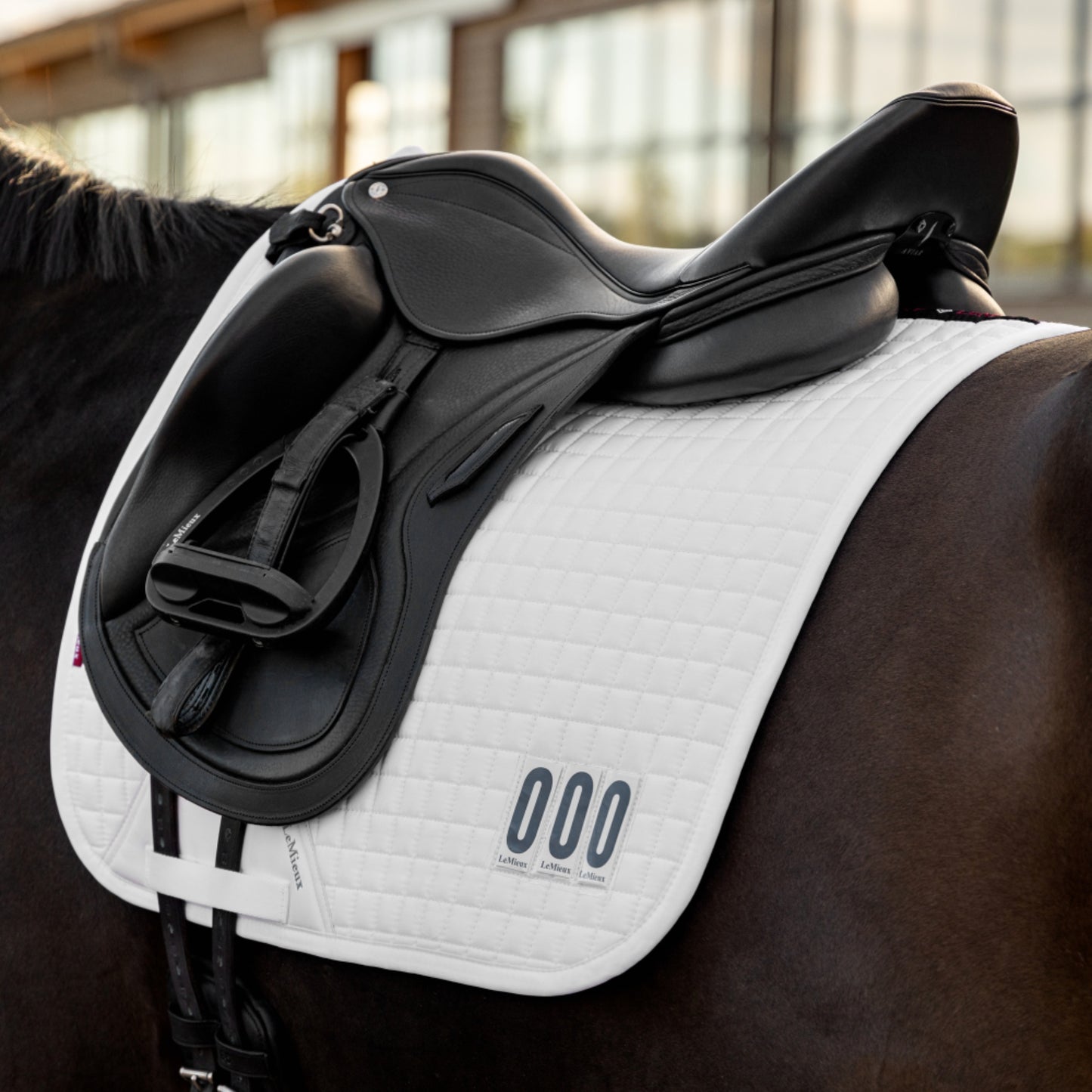 LeMieux Cotton Dressage Competition Square Saddle Pad