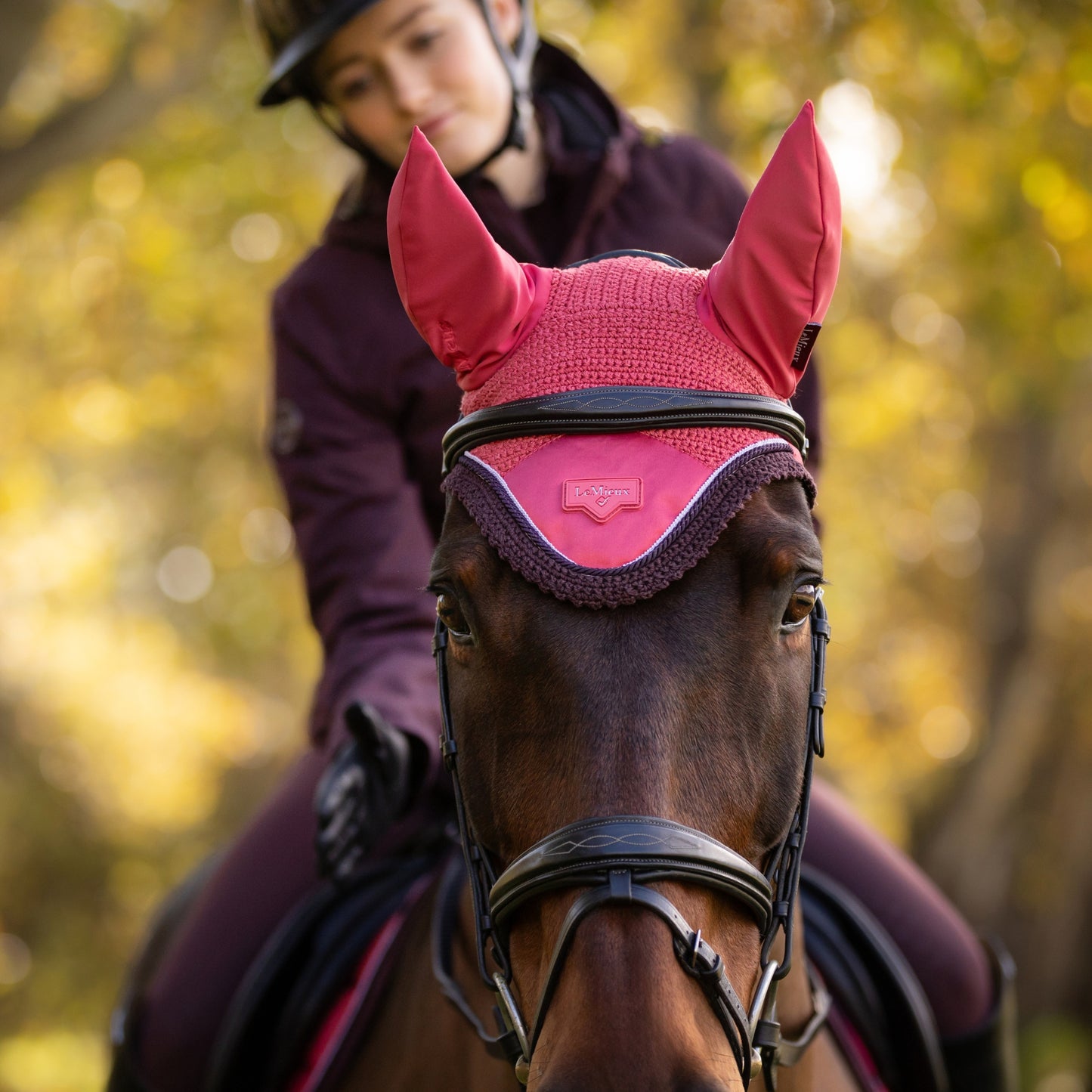 LeMieux Loire Classic Fly Hood