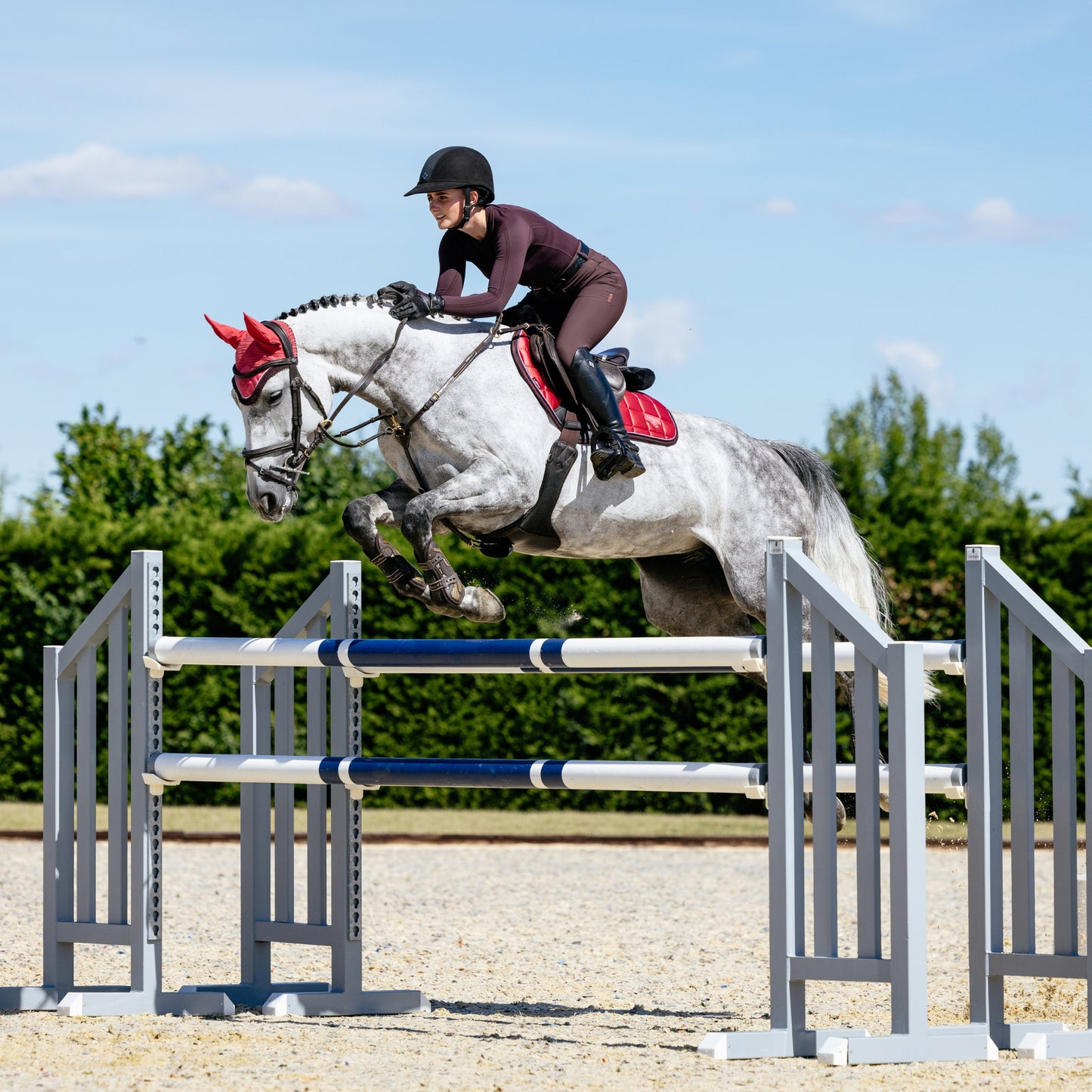 LeMieux Loire Classic Fly Hood