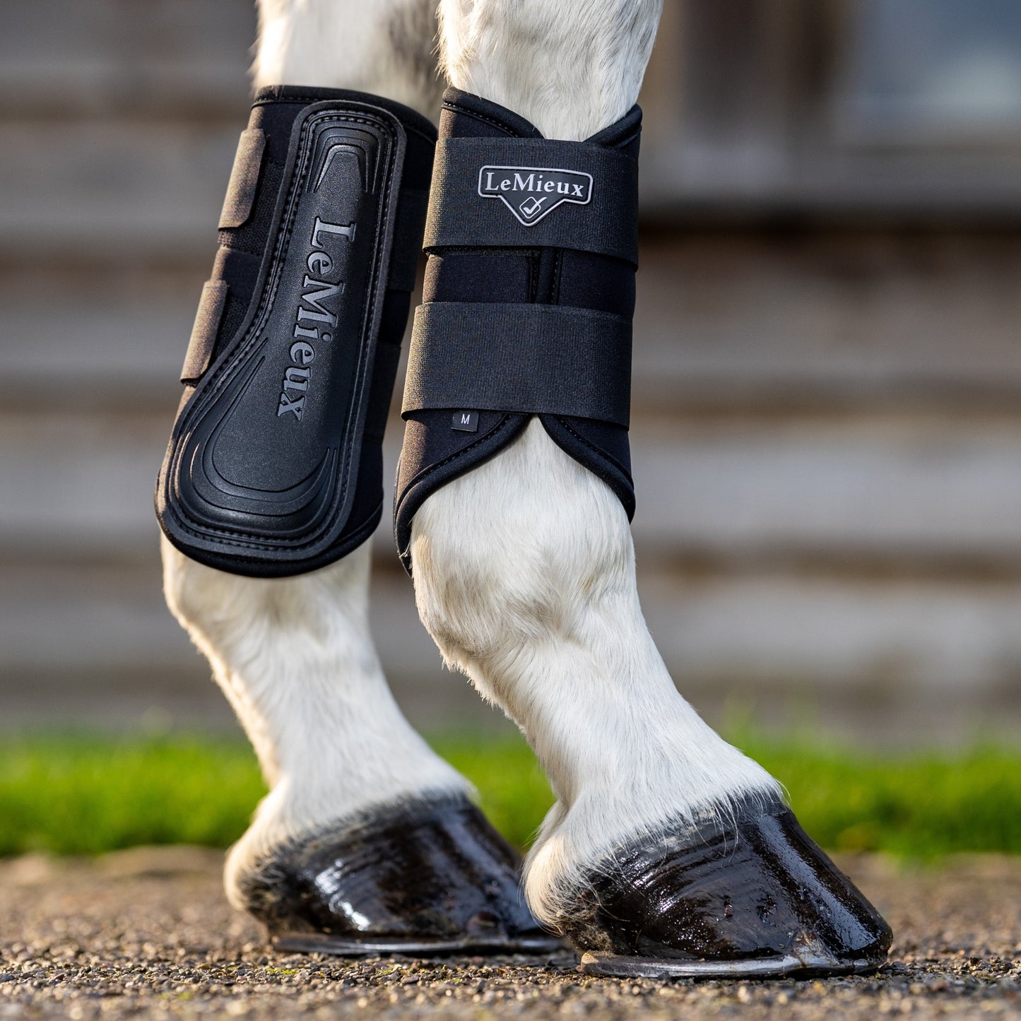 LeMieux Grafter Brushing Boots