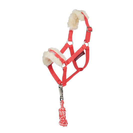 Harlow Hobby Horse Headcollar & Leadrope Coral Crush