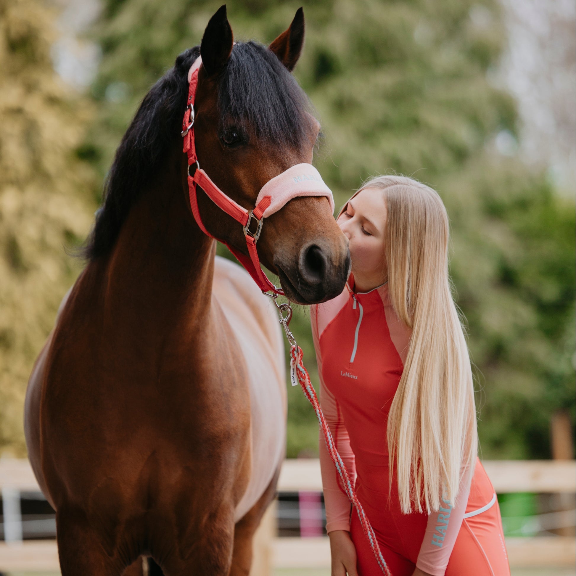 LeMieux Harlow Vogue Headcollar and Leadrope - EQ Saddlery