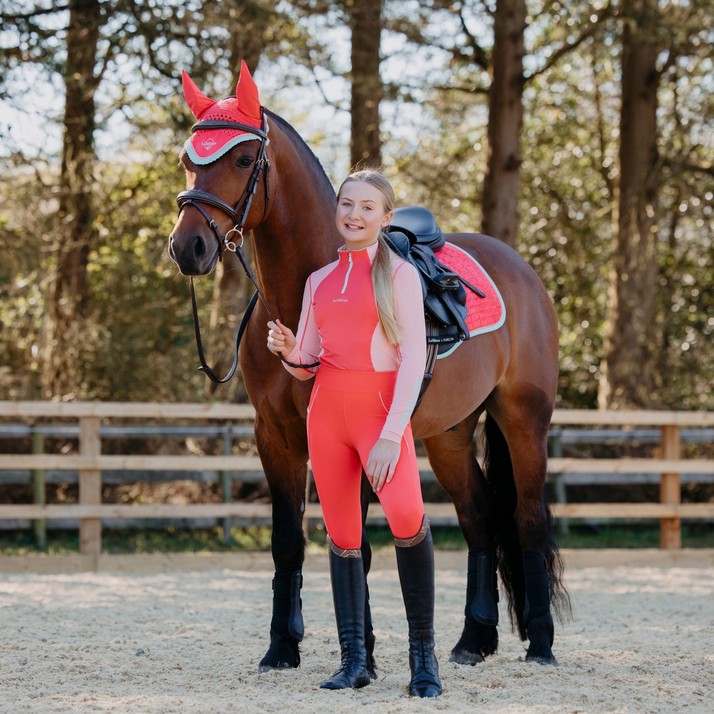 LeMieux Harlow Fly hood