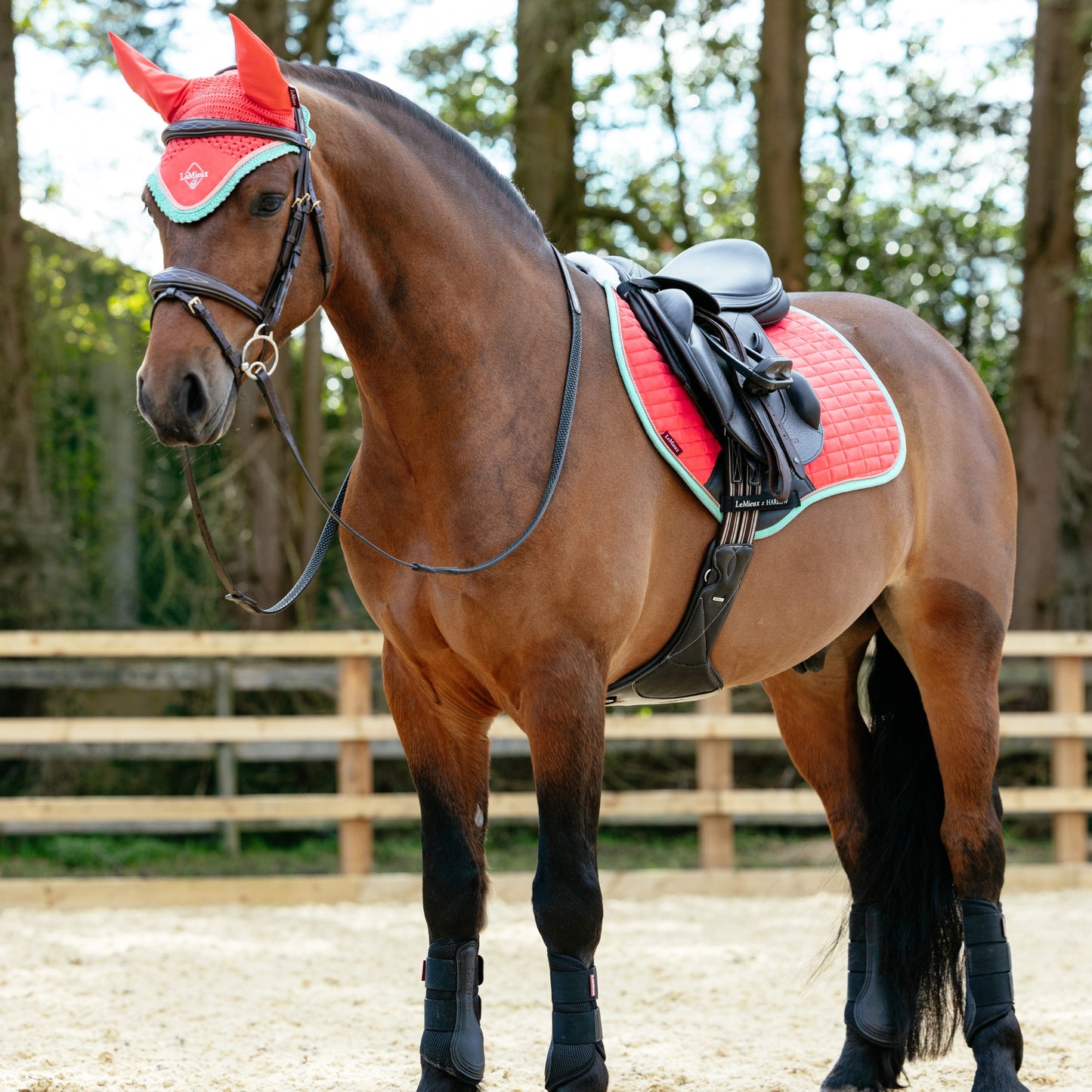 LeMieux Harlow Fly hood