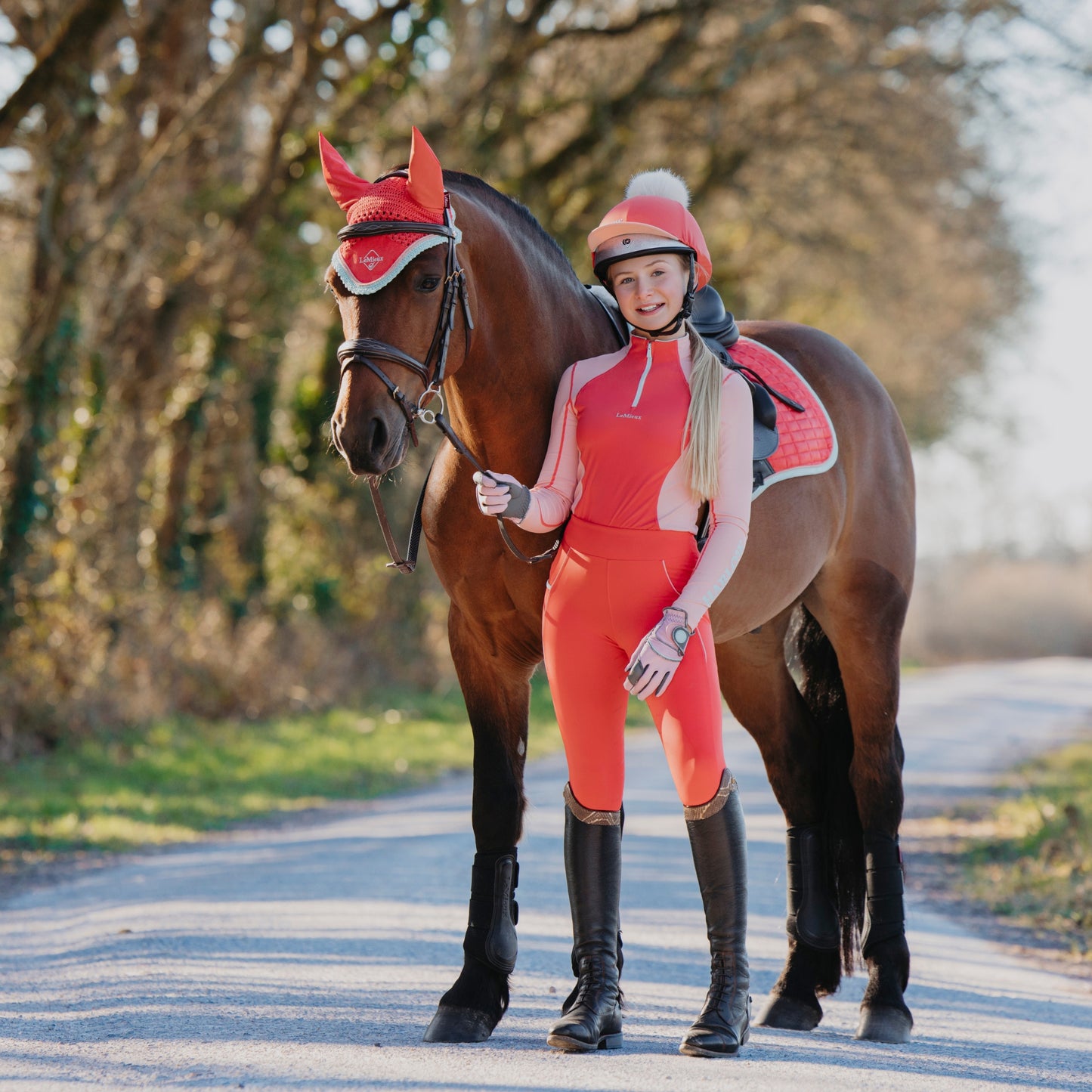 LeMieux Harlow Fly hood