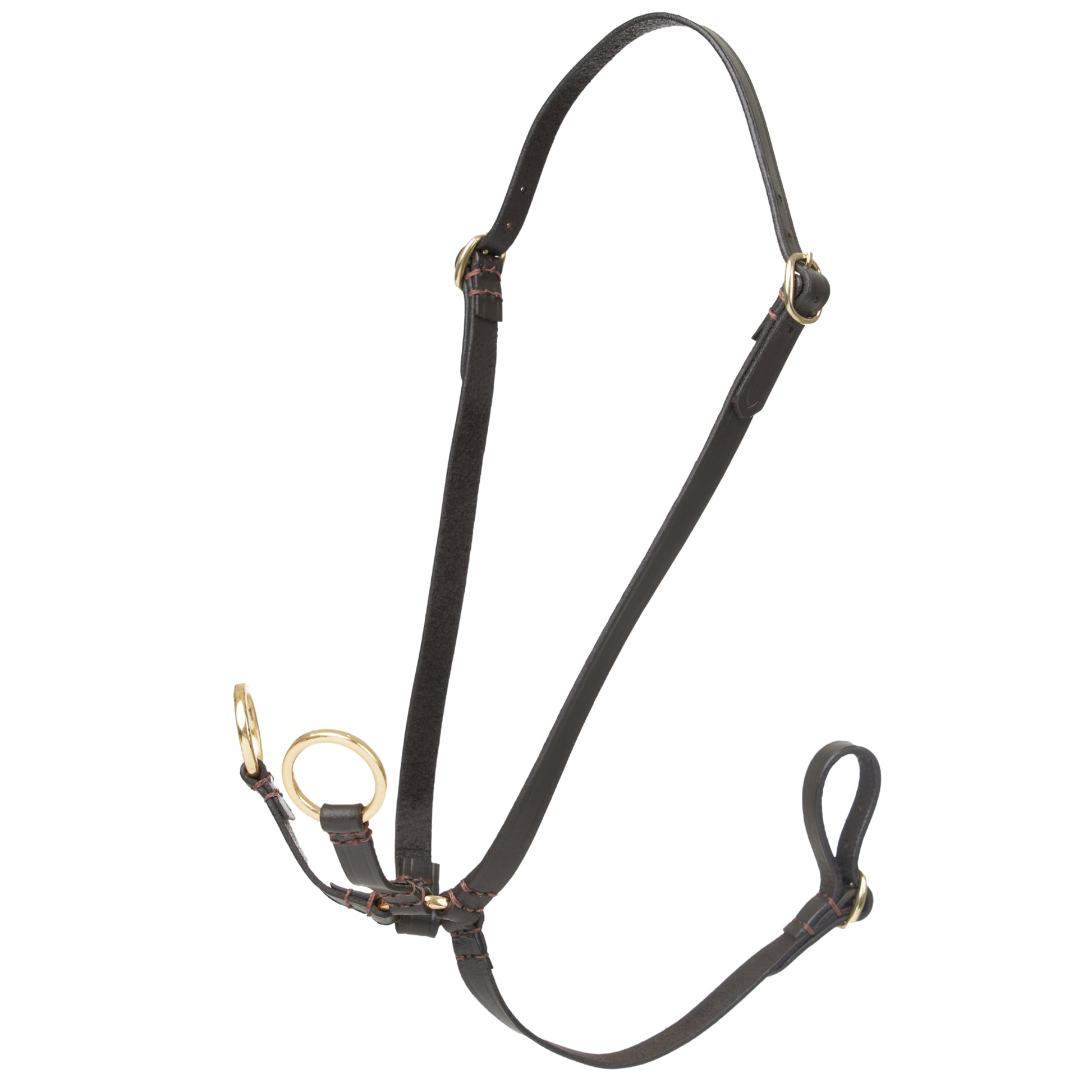 LeMieux Hobby Horse Standing Martingale - EQ Saddlery