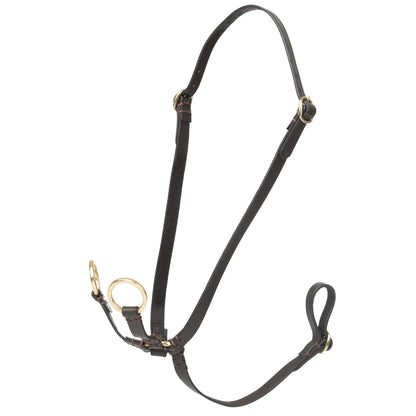 LeMieux Hobby Horse Standing Martingale - EQ Saddlery