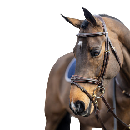 LeMieux Kudos Competition Flash Bridle