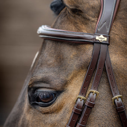 LeMieux Kudos Competition Flash Bridle