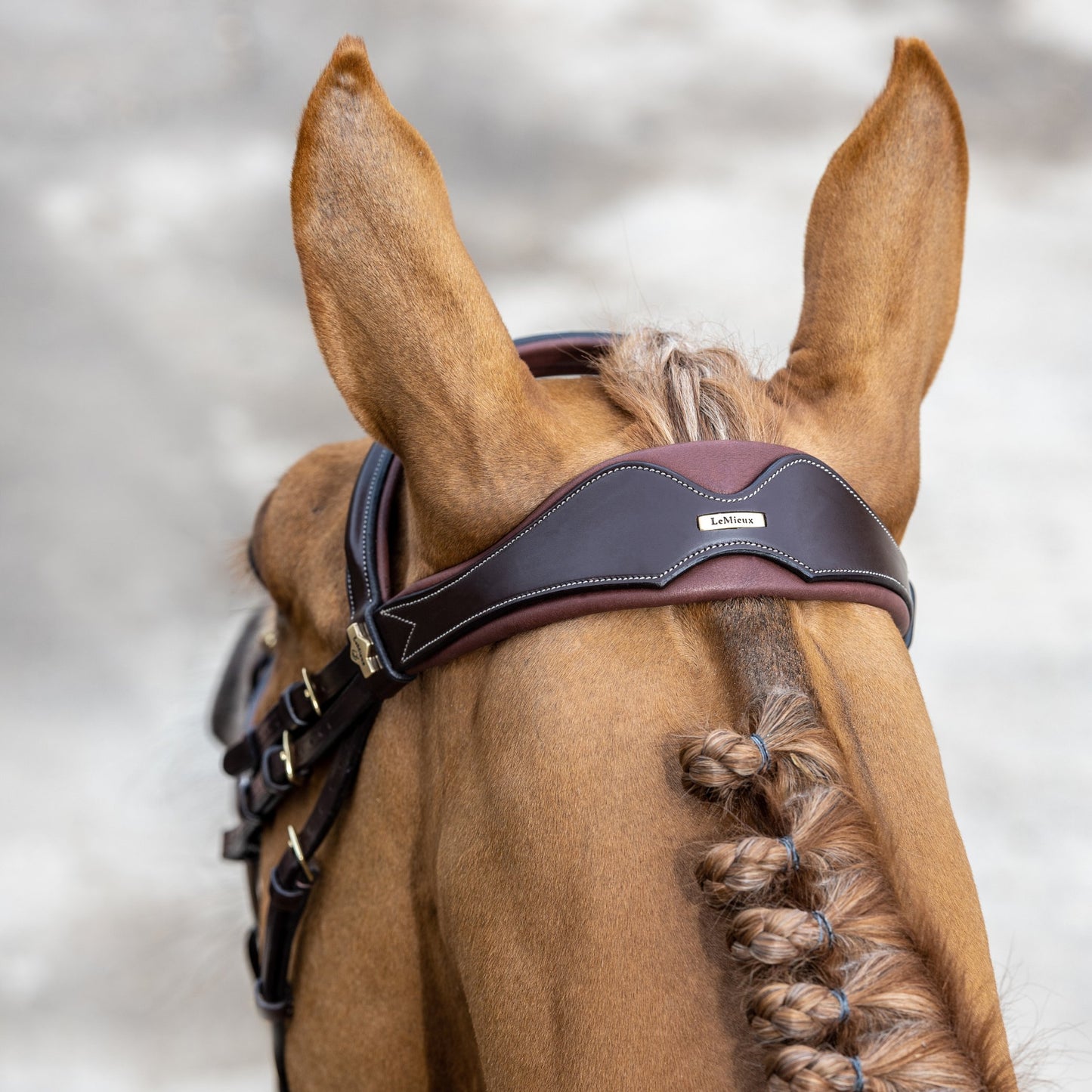 LeMieux Kudos Competition Flash Bridle