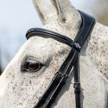 LeMieux Kudos Competition Flash Bridle